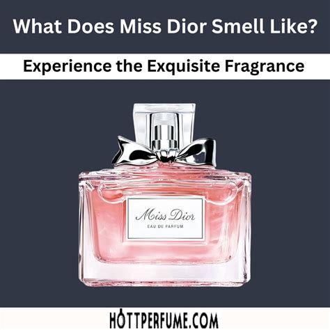 miss dior noir|what does Miss Dior perfume smell like.